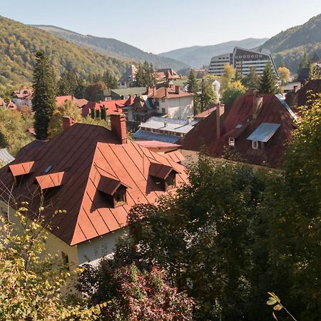 Rustic Regal Apartment Sinaia Exterior photo