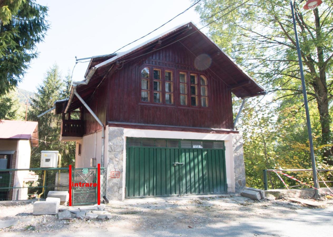 Rustic Regal Apartment Sinaia Exterior photo