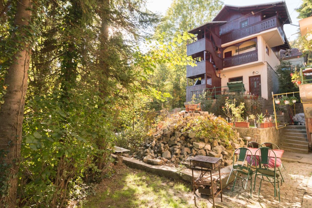 Rustic Regal Apartment Sinaia Exterior photo